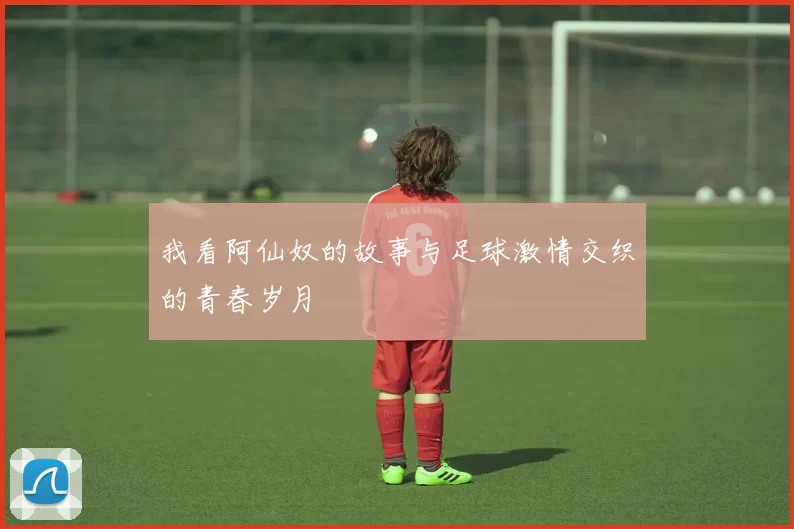 我看阿仙奴的故事与足球激情交织的青春岁月